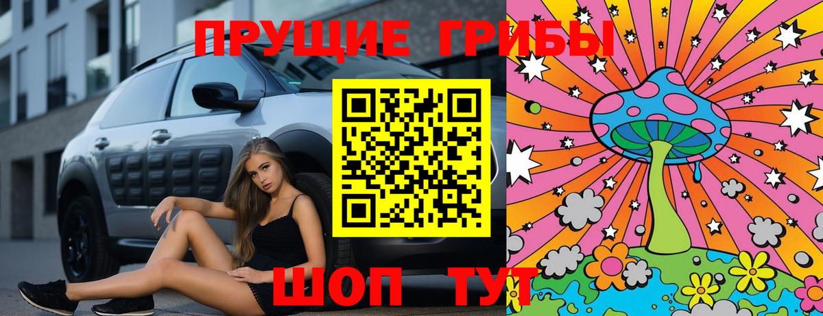 Псилоцибиновые грибы GOLDEN TEACHER Чита