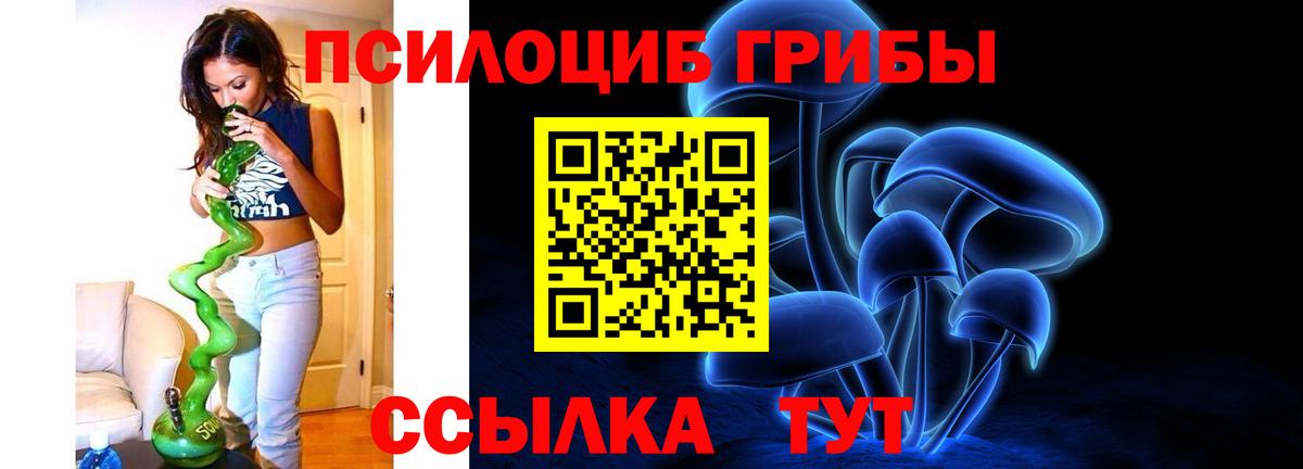 Псилоцибиновые грибы MAGIC MUSHROOMS  Вход с VPN  Чита 